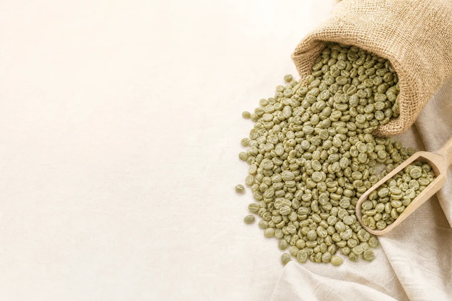 An open jute sack of raw green Tanzanian coffee beans ready for grading